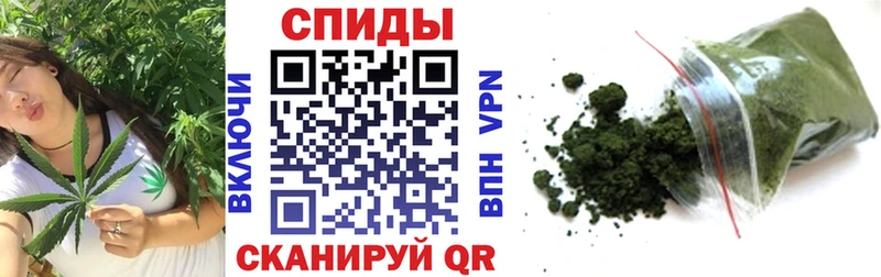 купить  сайты  Туран  БУТИРАТ 1.4BDO 