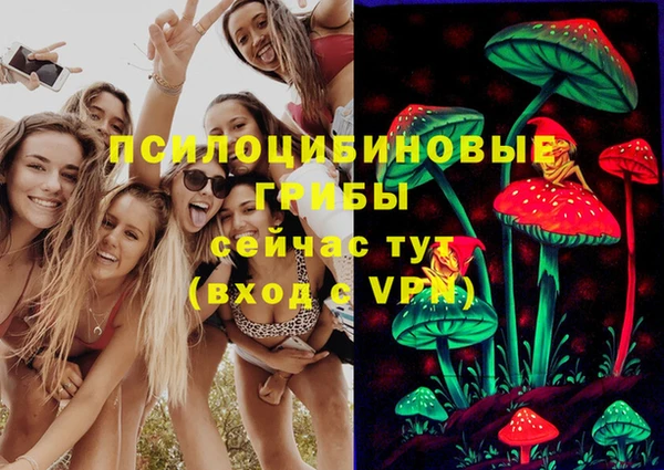 МДМА Новодвинск