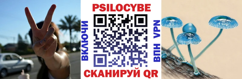 гидра как зайти  Туран  Псилоцибиновые грибы GOLDEN TEACHER  магазин  наркотиков 